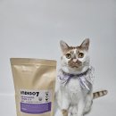 바른한끼 이미지