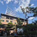 무대에서 놀자 연기학원 연기발표회 | [공지] [2025여름국악캠프] 선율국악학원 여름 국악 캠프 #용인국악 #국악학원 #선율국악학원