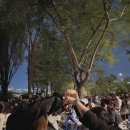 에이치모토