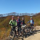 정모 카카오 검색결과