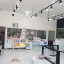 개편한이발소 이미지