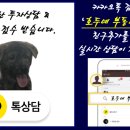 호두네리컨공인중개사사무소 이미지