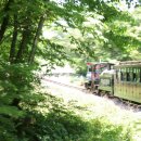 에코랜드 이미지