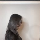 살롱드포레라 이미지