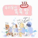 내가할개 이미지