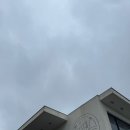 트리사라 | 내돈내산 펜션, 남해 트리사라풀빌라 : 사라룸