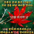 10월 31일(일) 어머니 21주기를 맞이하여 고향 다녀와서 이미지