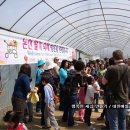 주한미군 가족들, "논산딸기축제" 방문 이미지