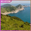통영 연화도 수국 꽃길 산책 코스와 최적 관람 시기 확인하기