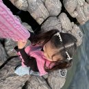 운문댐하류보2 | 카라반 노지캠핑 청도 운문댐 하류보 1박2일 여행