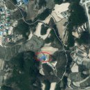 당산2리마을회관 | 경기도 여주시 대신면 주택 경매[2023 타경 6302] 토지 402평, 건물 93평, 경강 선 세종대왕릉 역(7.5km...
