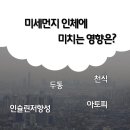 미세먼지 인체에 미치는 영향은? 이미지