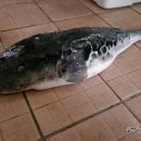 장인복국 이미지