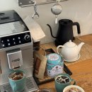 스테이 아네트 이미지