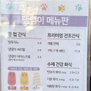 용인 애견 동반 카페 &#39;별똥구리&#39; 후기-용인 애견 운동장+인조잔디 운동장