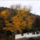 내서읍705 이미지