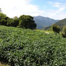 한적2길 이미지