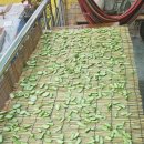 앞뜰농장 이미지