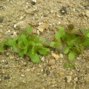 정신농장 이미지