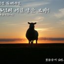 ﻿하나님의 어린양을 보라(주현절 2주/ 교회력) 이미지