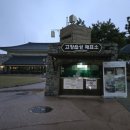 돌빛펜션 | 고창 봄 여행 추천 벚꽃축제