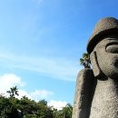 엠버여행사 이미지