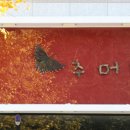 들림촌 이미지