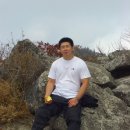 피그넷 이미지