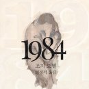 11 이미지