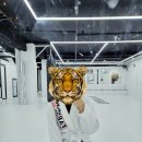강남주짓수파크오피셜짐