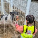 일광비스타동원1차어린이집 이미지