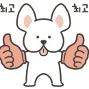 피콜로카네 이미지