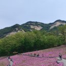 불암산나비정원 이미지