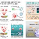 카엠 이미지