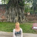 야우농장 이미지