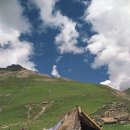 로시난테 이미지