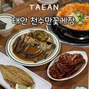 천수만로 | 태안 게국지 현지인 맛집 천수만꽃게장 간장게장 양념게장 생선구이 내돈내산 후기