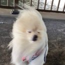 동의보감숯불갈비 이미지