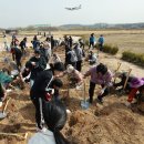 태극 태권도 이미지