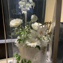 메종 플로이