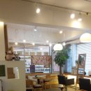 안나헤어 이미지