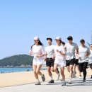 붐 중앙일보