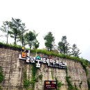 별앤숲카페