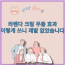 라벤다 | 라벤다 크림 무좀 완치 후기와 부작용 없이 쓰는 법