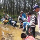 산들강웅포마을 이미지