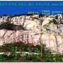 꿈꾸는소나무 이미지