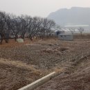 명도농장 이미지