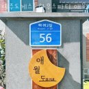 제주도게스트하우스 파티애월도 | 제주도게스트하우스 제주도게스트하우스파티 애월도...여행 떠나고 싶을 때 가성비숙소 가격 위치 숙소후기