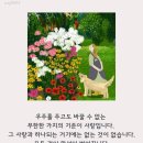 Rev. 전 유상 효정간증 보고 이미지