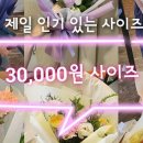 24시꽃 이미지